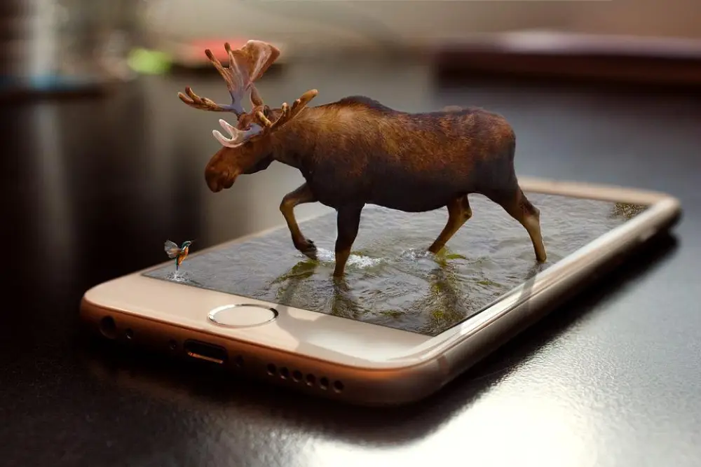 What is 3D Scanning?