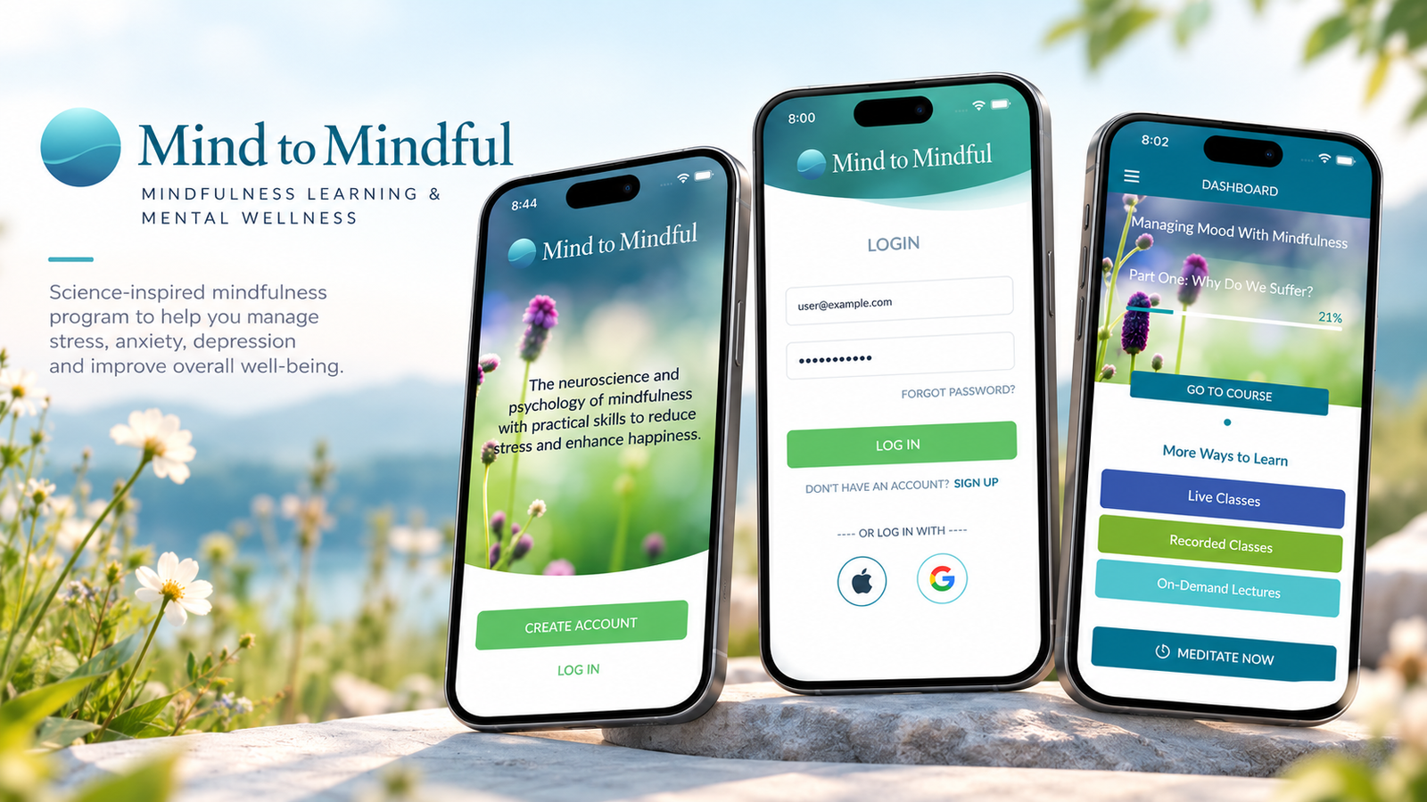 Mind to Mindful project preview